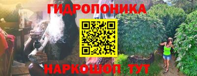 молекула духа Новокубанск