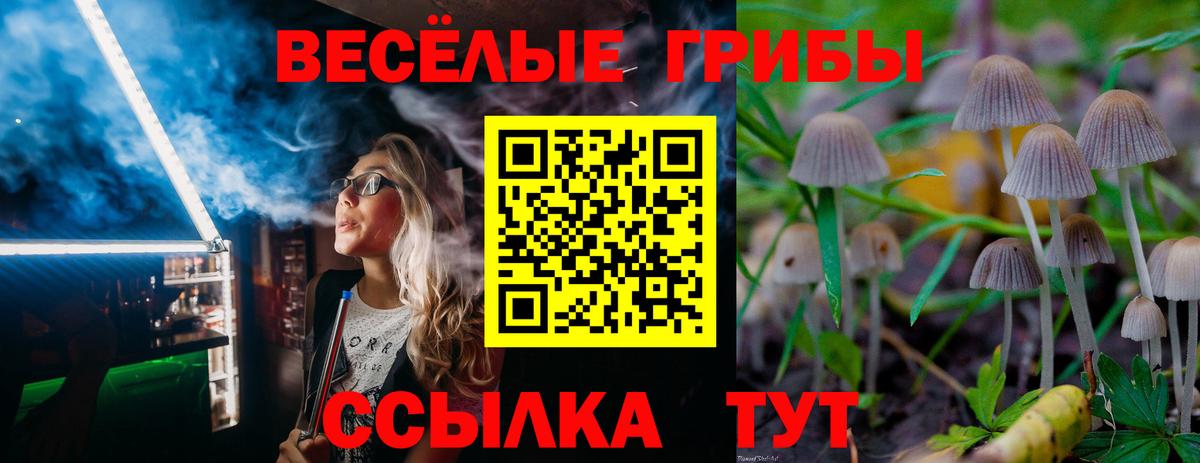 Сорочинск  Галлюциногенные грибы ЛСД  Вход с VPN  Галлюциногенные грибы мухоморы 